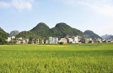 ​道县发现：47枚牙齿的故事2