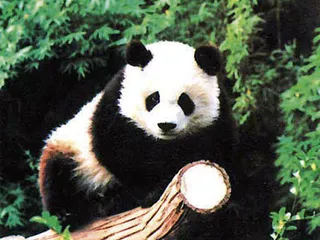好消息·坏消息（855）2