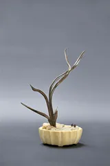 ​郑尧锦，给沉香另一重生命1