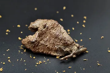 ​郑尧锦，给沉香另一重生命2