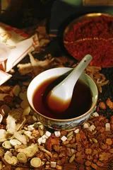 物种输入，1500年的历程4