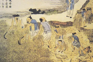 物种输入，1500年的历程5