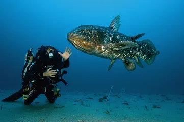 ​对海洋的两种态度2