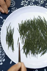 恩施玉露： 古法的复兴与落寞3