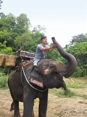 黄渤：不冒险，身上长不出新东西2