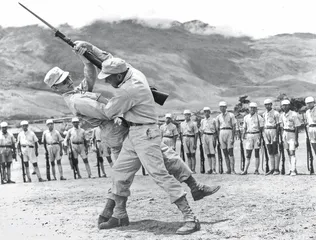1944 胜利前夕