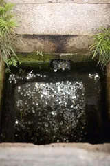 源头活水：好水与好茶的配合1