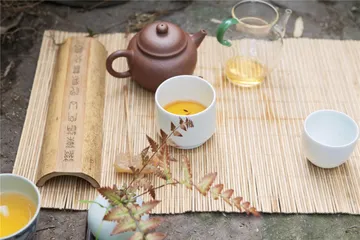 源头活水：好水与好茶的配合2