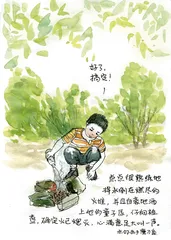在自然中自然成长6