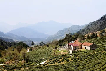 潜岳之西访翠兰