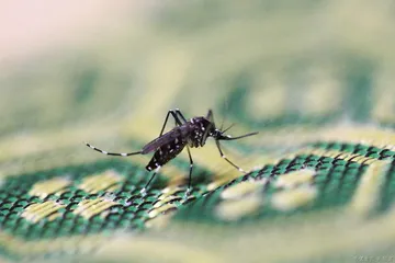 好消息·坏消息（838）1