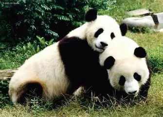 好消息·坏消息（838）4