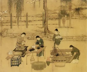 松萝茶的今生前世1