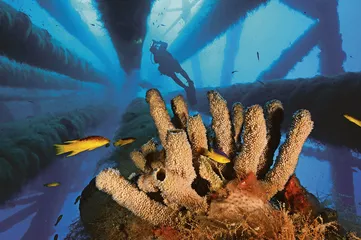 在深海的7000小时6