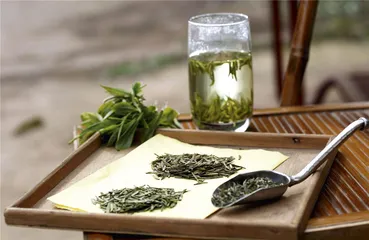 蒙顶山访茶记