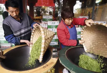 蒙顶山访茶记2