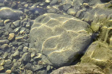 好消息·坏消息（833）3