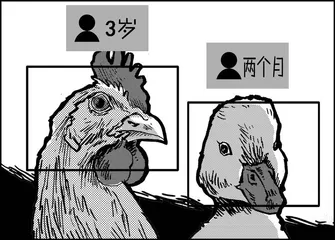 声音（836）