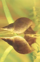 好消息·坏消息（834）