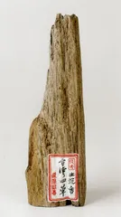 生产沉香的树种11