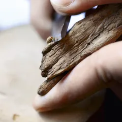 刘良佑和他的弟子们：中国当代香学复 兴者13