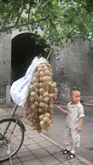 回民坊的日与夜2
