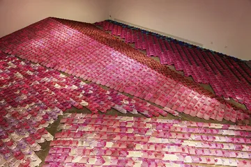姜杰：被软化的观念1