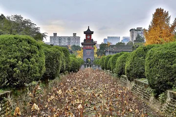 成都气质的变与不变11