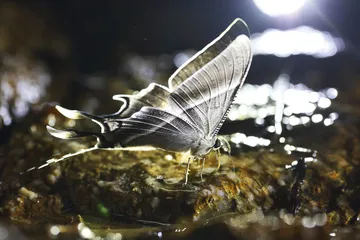 个性化旅行：用自己的方式感知世界4
