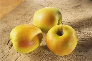 好消息·坏消息（817）2