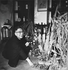 荣耀与屈辱：老舍的最后十七年12