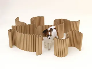 知·美术馆中的犬屋建筑3