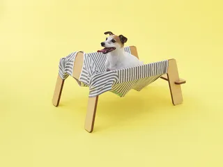 知·美术馆中的犬屋建筑4