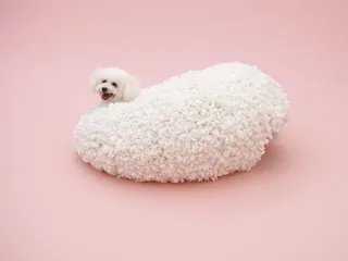 知·美术馆中的犬屋建筑5
