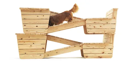 知·美术馆中的犬屋建筑6