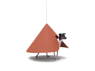 知·美术馆中的犬屋建筑7