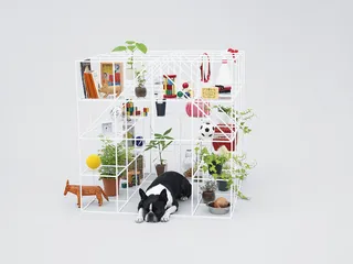 知·美术馆中的犬屋建筑8