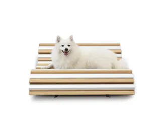 知·美术馆中的犬屋建筑13