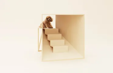 知·美术馆中的犬屋建筑16