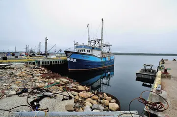 海岛寻味：纽芬兰美食的旧传统与新选择7