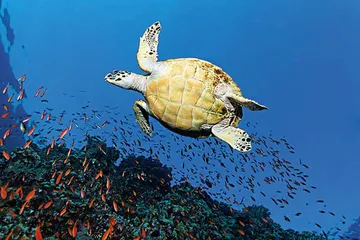 好消息·坏消息（810）1