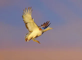 好消息·坏消息（810）3