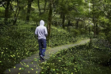 天下(806)1