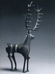 伊朗故事7