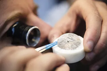 花卉与工艺