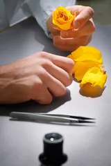 花卉与工艺6