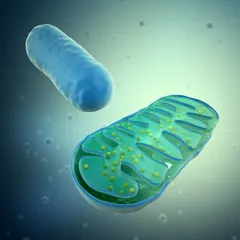 一个娃娃三个父母1