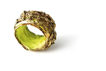 荷兰当代首饰设计：观念至上5