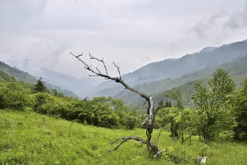 古道上的汉中4