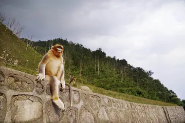 古道上的汉中6